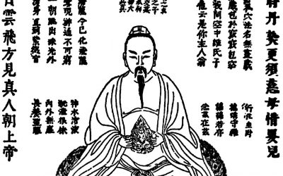 Actividad continua: EL LABORATORIO INTERIOR