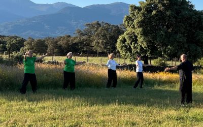 TAICHI EN PLENA NATURALEZA